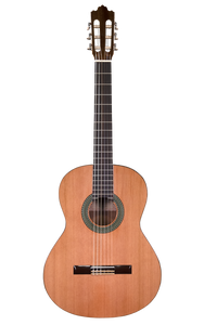 Prodipe Guitars Recital 300 4/4 - classical guitar 