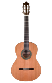 Prodipe Guitars Recital 300 4/4 - classical guitar 