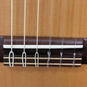 Prodipe Guitars Student 4/4 - classical guitar 