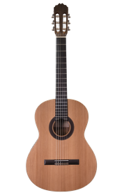 Prodipe Guitars Student 4/4 - classical guitar 