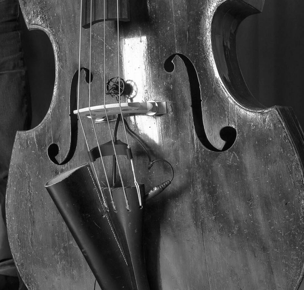 Prodipe BL21 - instrument microphone