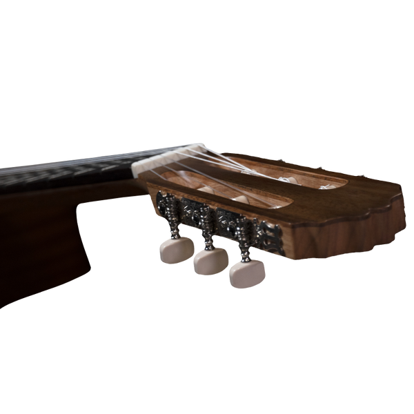 Prodipe Guitars Student 4/4 - classical guitar 