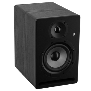 Prodipe Pro 5 V4 - active monitor 