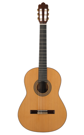 Prodipe Guitars Soloist 700 4/4 - classical guitar 