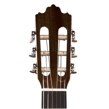 Prodipe Guitars Recital 300 4/4 - classical guitar 