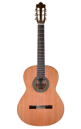Prodipe Guitars Recital 300 4/4 - classical guitar 