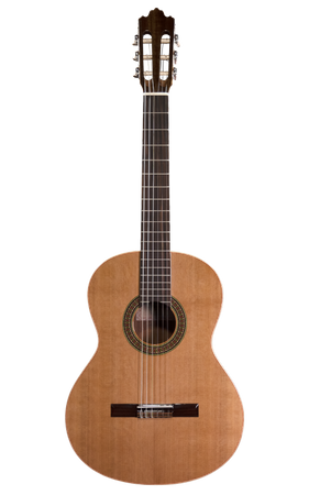 Prodipe Guitars Recital 200 4/4 - classical guitar 
