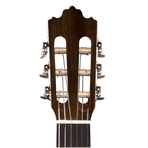 Prodipe Guitars Recital 300 4/4 - classical guitar 