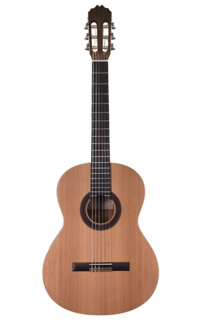 Prodipe Guitars Student 4/4 - classical guitar 