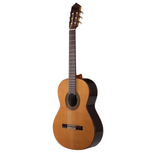 Prodipe Guitars Soloist 500 4/4 - classical guitar