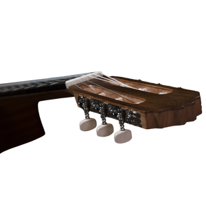 Prodipe Guitars Student 4/4 - classical guitar 