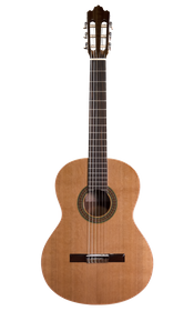 Prodipe Guitars Recital 200 4/4 - classical guitar 
